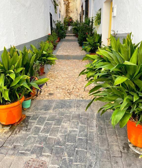 Appartamento Mi Rincon Favorito Cogollos De La Vega Esterno foto